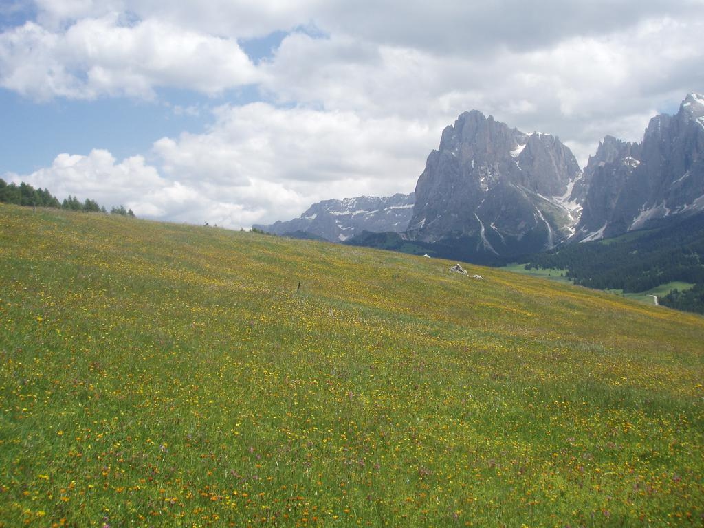 Hotel Garni La Majon Selva di Val Gardena Exteriér fotografie