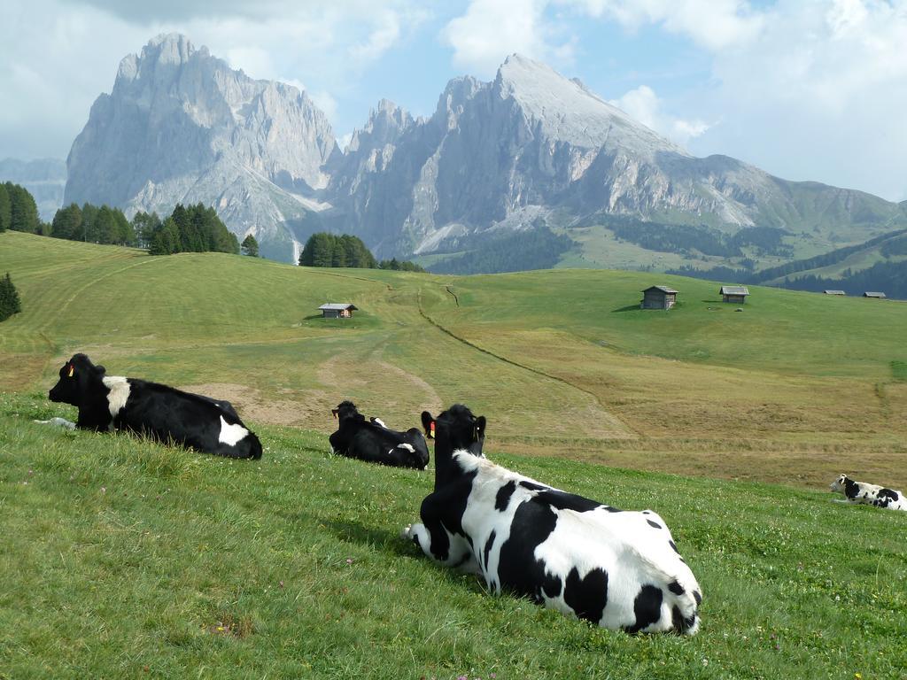 Hotel Garni La Majon Selva di Val Gardena Exteriér fotografie